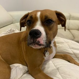 Meet your Posher, Etty